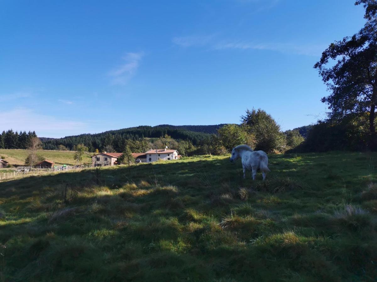 Le Moulin De La Fortie, * Viscomtat