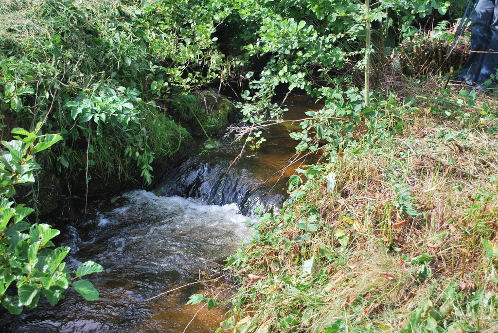 Le Moulin De La Fortie Viscomtat