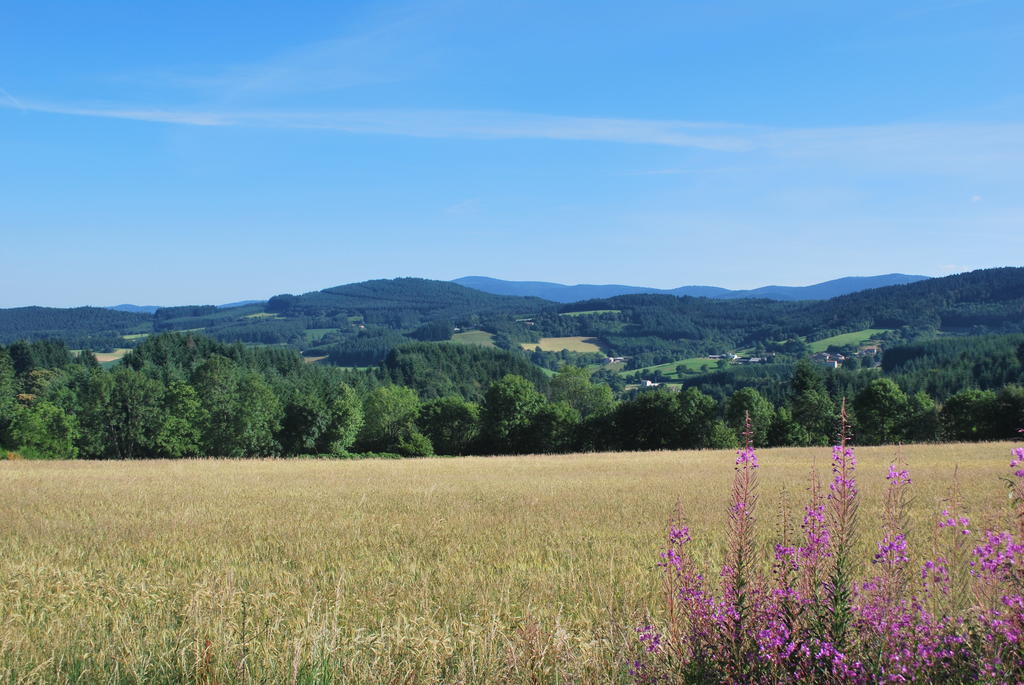 Le Moulin De La Fortie Viscomtat